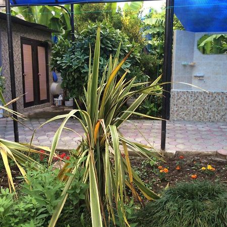 Гостевой Дом У Левы Hotel Gagra Eksteriør billede