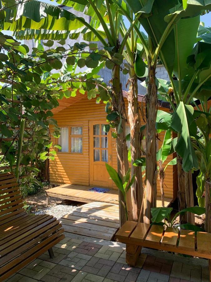 Гостевой Дом У Левы Hotel Gagra Eksteriør billede