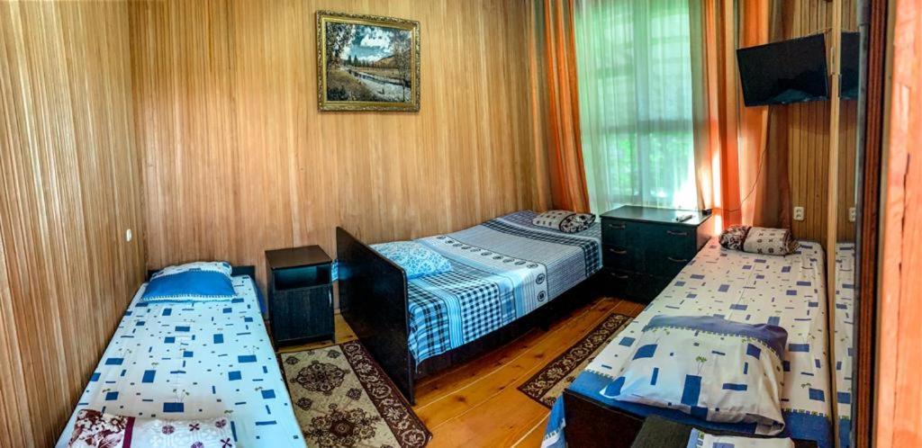 Гостевой Дом У Левы Hotel Gagra Eksteriør billede